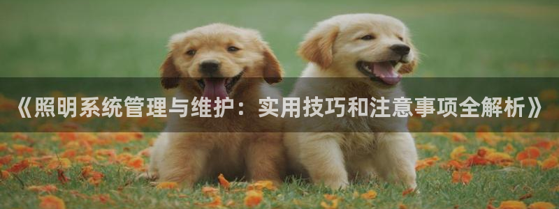 千亿国际车载冰箱:《照明系统管理与维护:实用技巧和注意事项全解析》