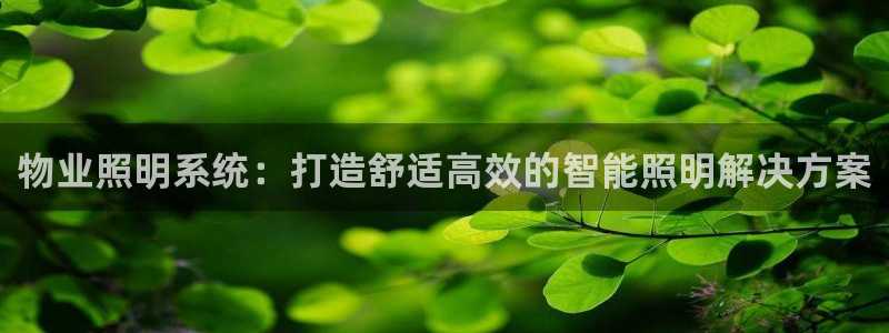 千亿国际首页登录网址:物业照明系统:打造舒适高效的智能照明解决方案