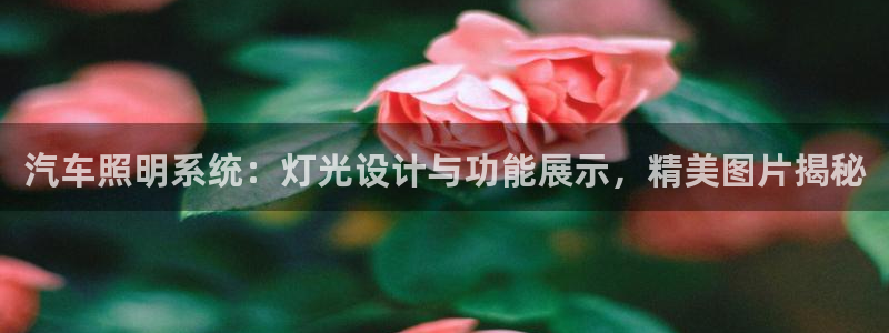 千亿国际pt游戏有哪些:汽车照明系统:灯光设计与功能展示,精美图片揭秘