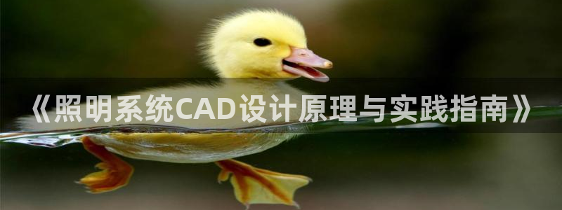 千亿国际公司网址是什么：《照明系统CAD设计原理与实践指南》