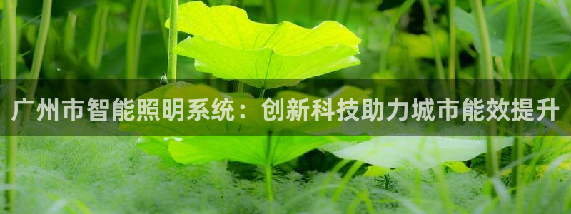 百度千亿国际：广州市智能照明系统：创新科技助力城市能效提升
