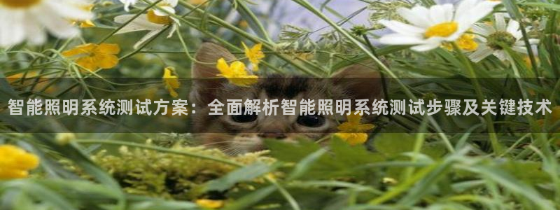 千亿国际登录网页:智能照明系统测试方案:全面解析智能照明系统测试步骤及关键技术