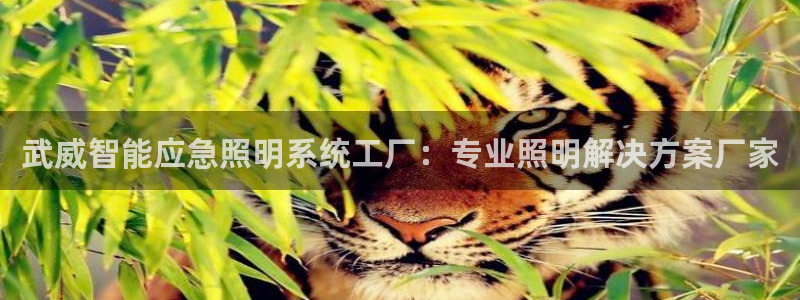 千亿国际芯片上市公司