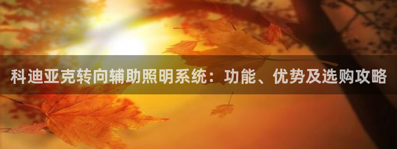 百度千亿国际：科迪亚克转向辅助照明系统：功能、优势及选购攻略