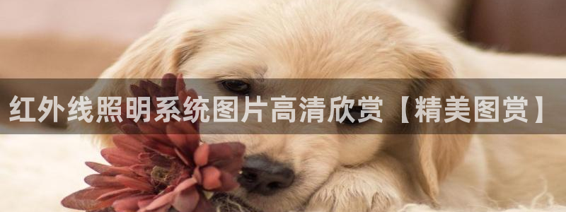 千亿国际唯一官方网站登录