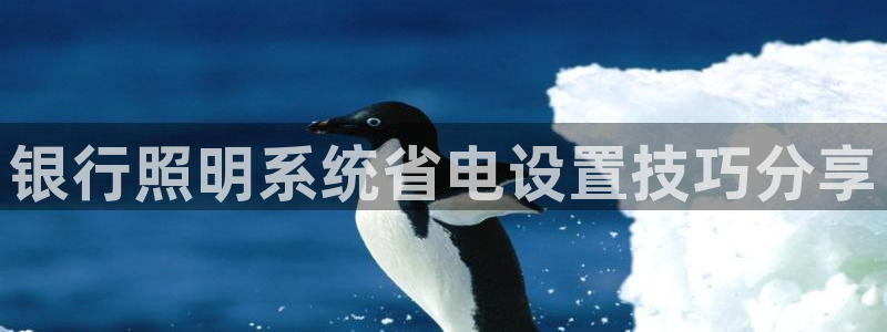 千亿国际公司网址
