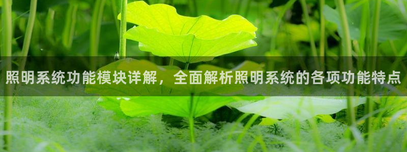 千亿国际是做什么的呢