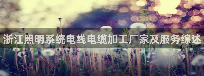 千亿国际qy8.vp