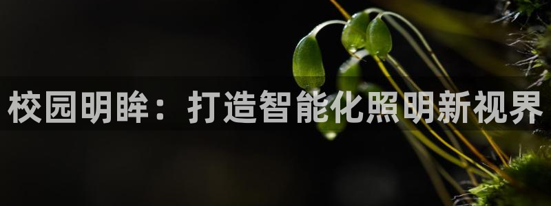 千亿国际2021官方网站baoli5.10