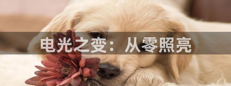 千亿国际账号登录