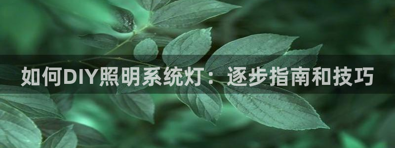 千亿国际q y 996
