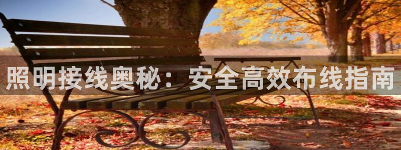 千亿国际手机版yb34、cn：照明接线奥秘：安全高效布线指南