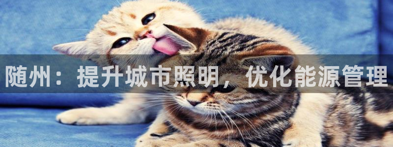 千亿国际qy88vip下载