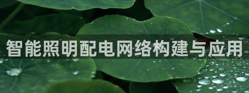 千亿国际公司网址查询