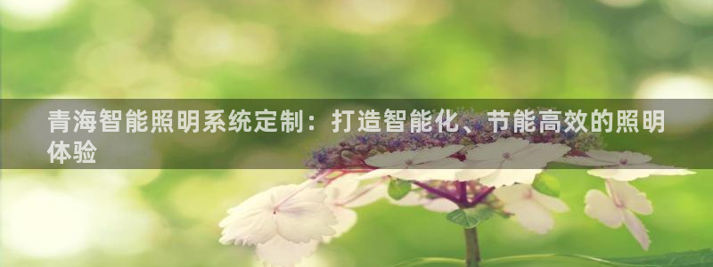 千亿国际内蒙圣懿团队成员名单