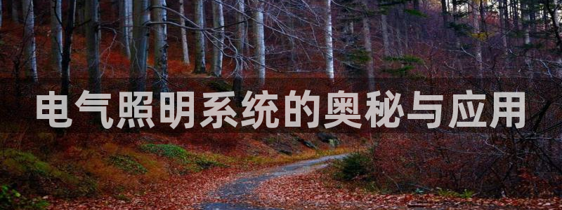 千亿国际芯片怎么样