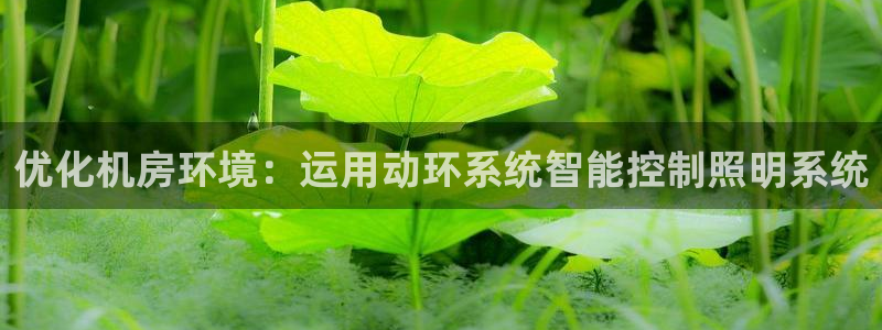 千亿国际电子游戏