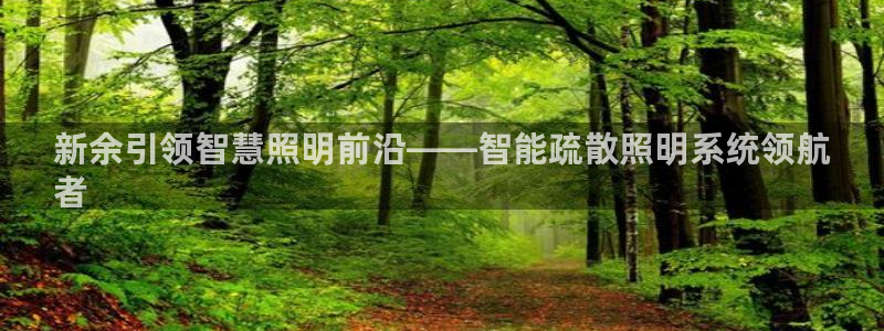 千亿国际真人:新余引领智慧照明前沿——智能疏散照明系统领航
者