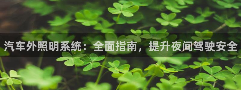 千亿国际手机官网app国际：汽车外照明系统：全面指南，提升夜间驾驶安全