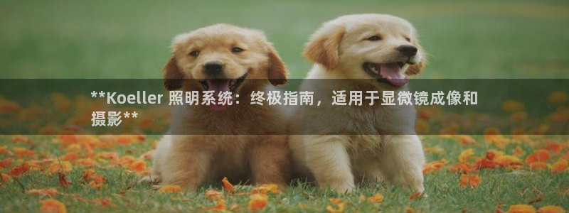 千亿国际全新官网是正品吗:**Koeller 照明系统:终极指南,适用于显微镜成像和
摄影**