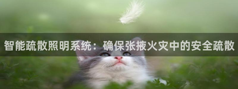 千亿国际服务平台怎么样:智能疏散照明系统:确保张掖火灾中的安全疏散