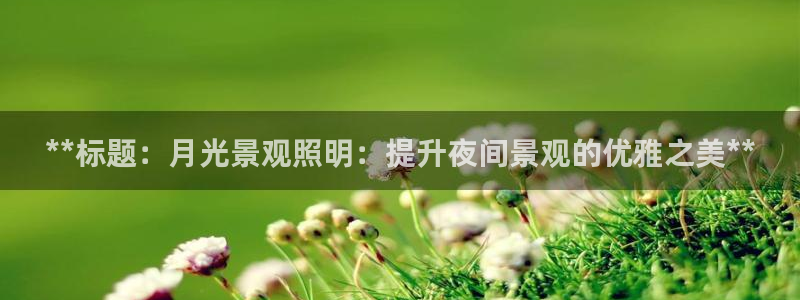 千亿国际2021官方网站pkufli4.30:**标题:月光景观照明:提升夜间景观的优雅之美**