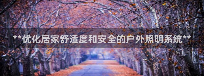 千亿国际平台怎么样:**优化居家舒适度和安全的户外照明系统**