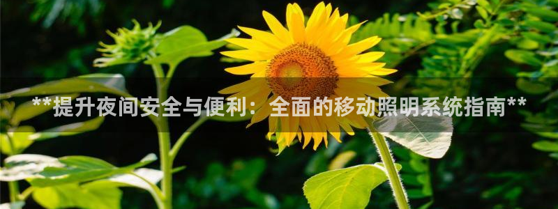 千亿国际服务平台:**提升夜间安全与便利:全面的移动照明系统指南**