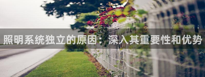 千亿国际提款有没有问题啊怎么查：照明系统独立的原因：深入其重要性和优势