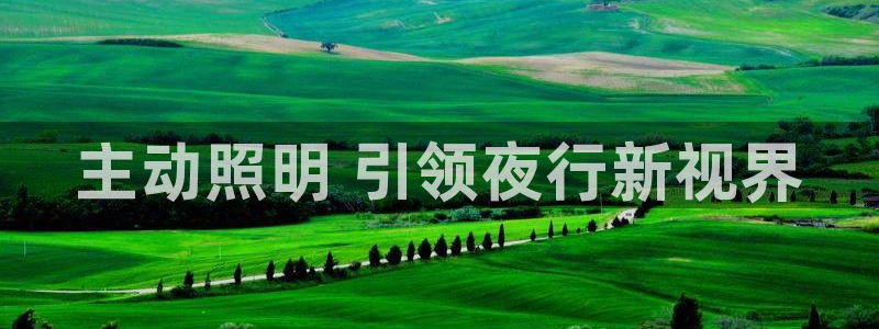 千亿国际2021年1.29更新版pkufli:主动照明 引领夜行新视界