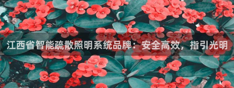 千亿国际qy886:江西省智能疏散照明系统品牌:安全高效,指引光明