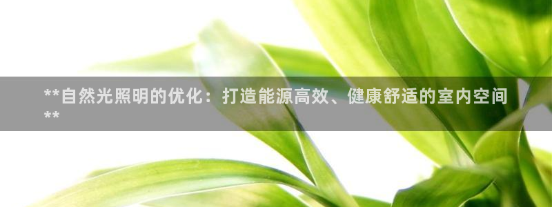 千亿国际董事长是谁呀:**自然光照明的优化:打造能源高效、健康舒适的室内空间
**