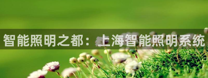 千亿国际平台还存在吗安全吗：智能照明之都：上海智能照明系统
