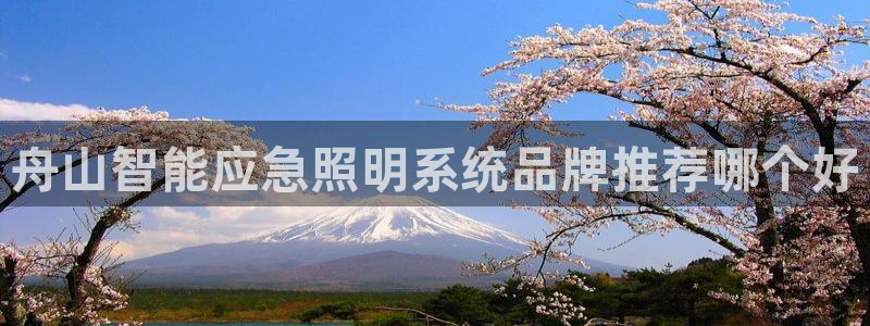 千亿国际手机版app下载官网:舟山智能应急照明系统品牌推荐哪个好