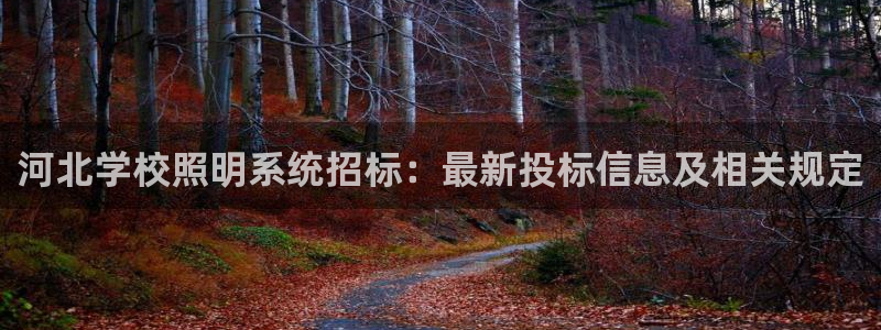 千亿国际游戏登录：河北学校照明系统招标：最新投标信息及相关规定