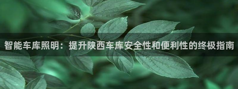 千亿国际2021官方网站pkufli4.30:智能车库照明:提升陕西车库安全性和便利性的终极指南