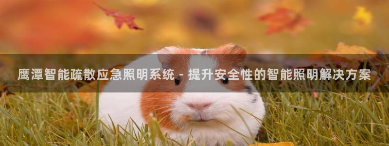 qy866千亿国际:鹰潭智能疏散应急照明系统 - 提升安全性的智能照明解决方案