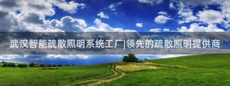 千亿国际欧阳文昊怎么样了:武汉智能疏散照明系统工厂|领先的疏散照明提供商