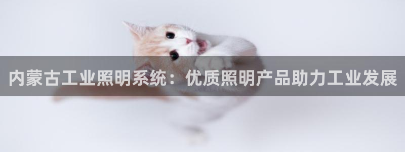 千亿国际手机版唯一官网:内蒙古工业照明系统:优质照明产品助力工业发展