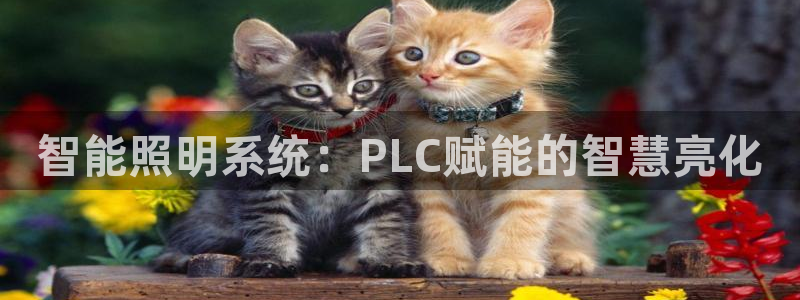 千亿国际登录网页：智能照明系统：PLC赋能的智慧亮化