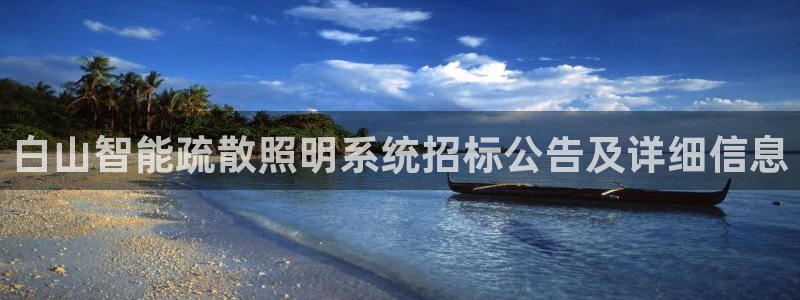千亿国际服务平台:白山智能疏散照明系统招标公告及详细信息