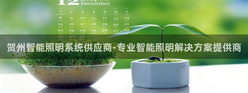 千亿国际手机官网app：贺州智能照明系统