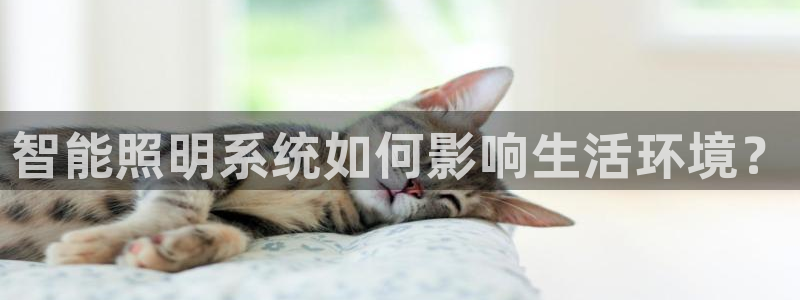 千亿国际q y 996：智能照明系统如何