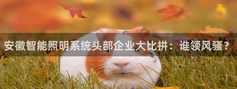 千亿国际是做什么的呢:安徽智能照明系统头部企业大比拼:谁领风骚?