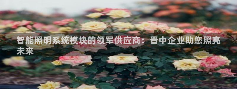 千亿国际服务平台怎么样:智能照明系统模块的领军供应商:晋中企业助您照亮
未来