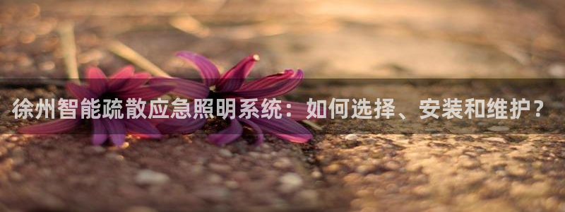 千亿国际(唯一)平台下载:徐州智能疏散应急照明系统:如何选择、安装和维护?