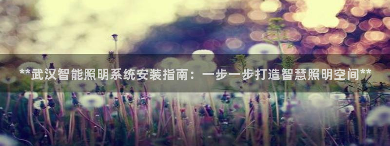 千亿国际公司网址查询:**武汉智能照明系