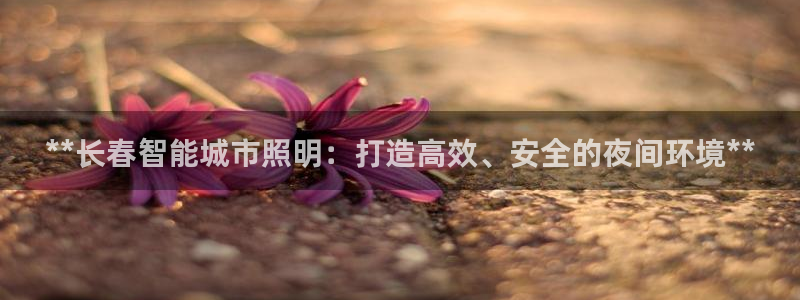 千亿国际诈骗:**长春智能城市照明:打造高效、安全的夜间环境**