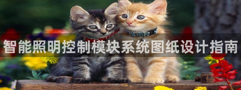 千亿国际手机版yb34点cn:智能照明控制模块系统图纸设计指南