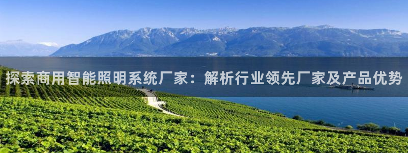 千亿国际qy8.vp:探索商用智能照明系统厂家:解析行业领先厂家及产品优势